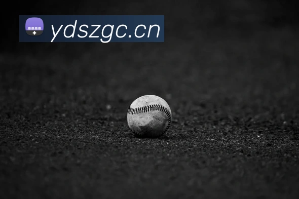 kaiyun云开登录入口服务体系